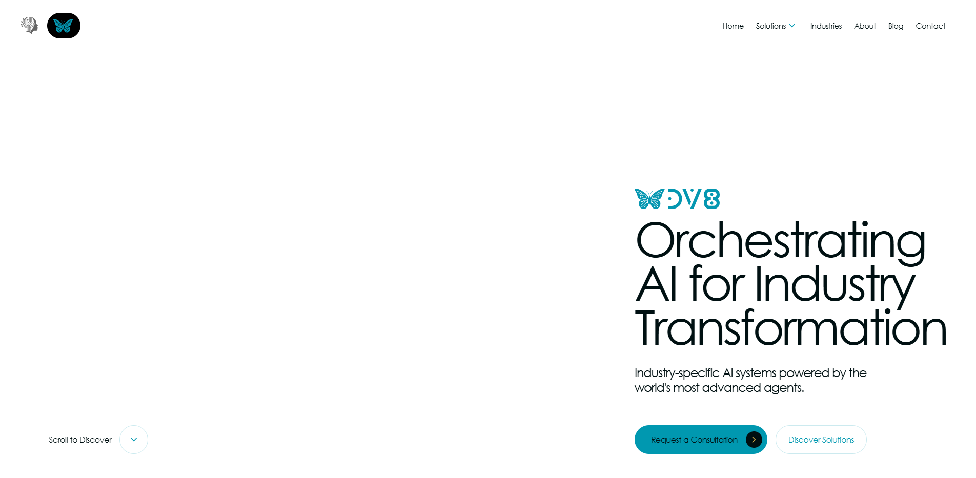 DV8 Infosystems