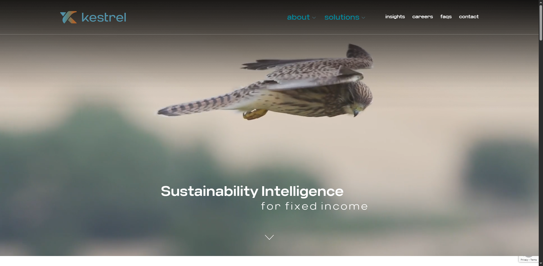 Kestrel