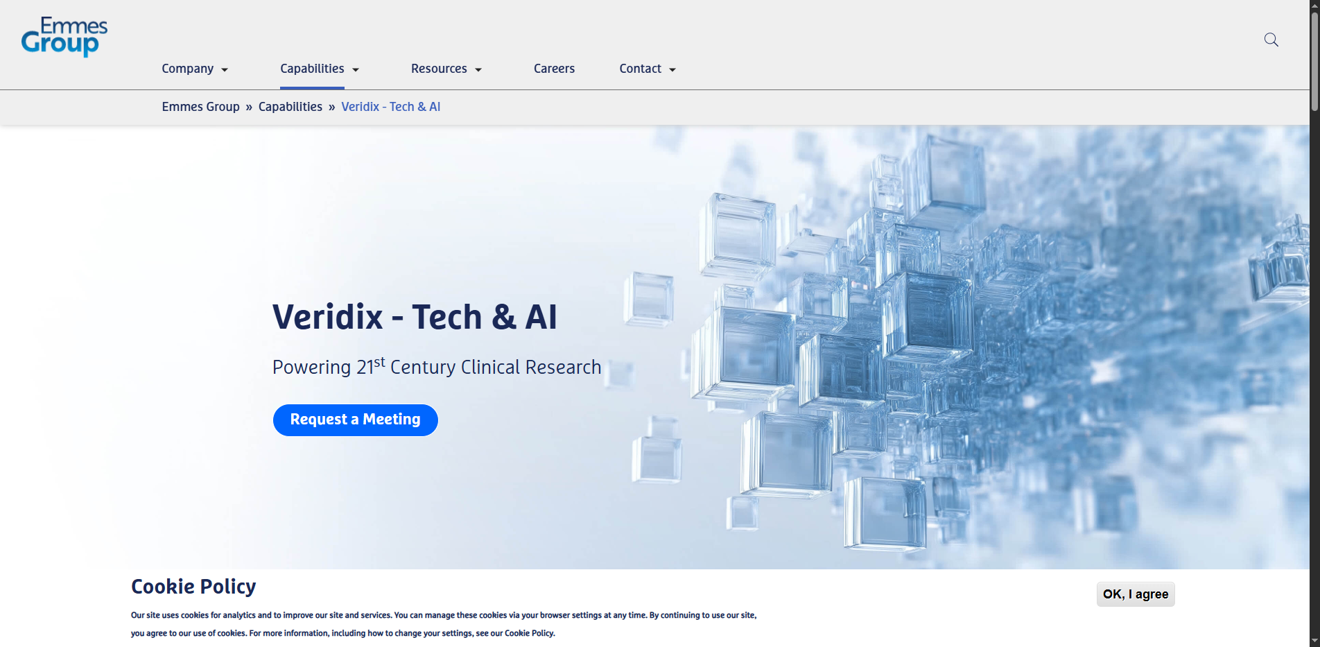 Veridix AI, part of Emmes Group